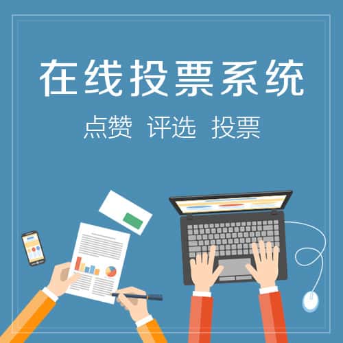 岳阳在线投票系统
