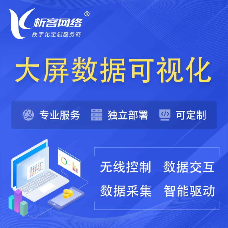 岳阳大屏互动数据可视化 | 数据大屏系统