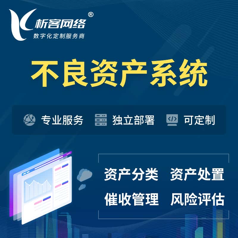 岳阳不良资产管理系统
