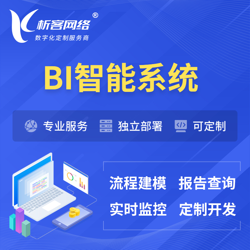岳阳BI智能系统 | BI数据可视化