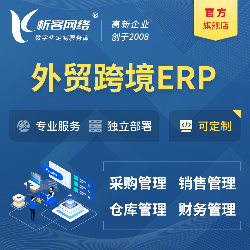 岳阳外贸跨境ERP软件生产海外仓ERP管理系统