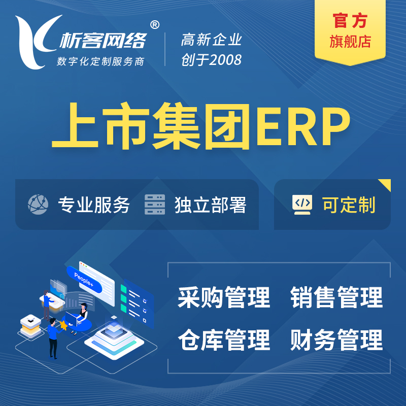 岳阳上市集团ERP软件生产MES车间管理系统